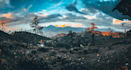give you beautiful  nature photos
