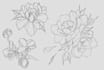 create a beautiful flower tattoo