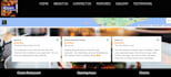 create professional wordpress website development