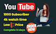 do youtube SEO to improve your video ranking