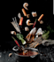 do food image retouching, enhancement and manipulation