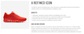 write product description that convert amazon shopify product copywriting