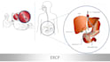 make medical illustrations, anatomy diagrams and presentations