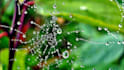 create relaxing rain video with rain sound