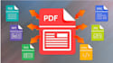 convert pdf to word