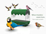 make 3d products, bottles and mockups