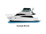 custom boat and yacht into vector illustration