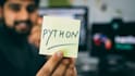 be your python django developer and database mysql