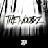 professionally mix and master your rap, pop, punk, rock song