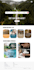 design a professional UX UI for your app or website