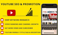 be your youtube SEO expert to optimize your videos and channel