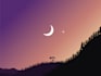 create a beautiful landscape scenery illustration for you