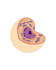 create your scientific posters, figures, and illustrations