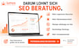 provide SEO and GEO consulting to grow online visibility