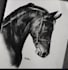 hand made hyper realistic pencil sketch