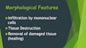 make professional medical powerpoint presentations