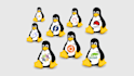 solve your linux issues and setup