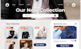 design and build a professional shopify or ecommerce website