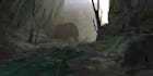 draw a landscapes or environment paintings and concept art