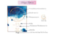 design a unique custom star map