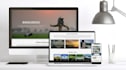 develop a responsive wordpress website with free logo