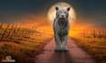 draw fantasy animal scene and environment