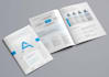design a professional brochure tailored to your brand