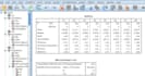 do descriptive and inferential statistical data analysis by spss, minitab