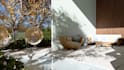 do photo editing and 3d rendering