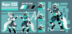 draw your furry character reference sheet