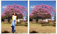 add or remove object,person photo editing background removal