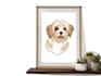 draw your pet into a cartoon vector simple in 24 hours