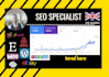 do SEO service of godaddy, wordpress, wix, squarespace, shopify and more