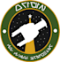 design a custom mission patch for you