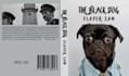 create professional book cover and e book cover design