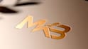 create glorious custom logo animation within 24 hour 3d 2d