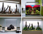 give advice about aquariums, aquascaping, fishes and plants