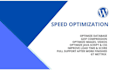 do website speed optimization by gtmetrix google pagespeed