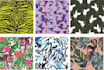seamless florals pattern for all media
