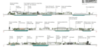 do illustrative section elevation for architectural and landscape visualization