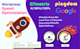 do wordpress speed optimization