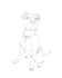draw a line art of your pet
