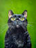 create custom hand painted acrylic pet portraits