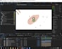create an eye catching logo animation and intro or outro