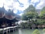 english chinese translator and tour guide in shanghai