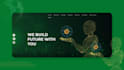 design and develop your nft website