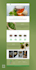 design modern landing page or homepage using wordpress