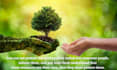 do environmental science tasks in 12 hours