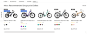 do professional ecommerce wordpress and shopify data entry