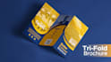 create real estate, solar panel business and brand flyers